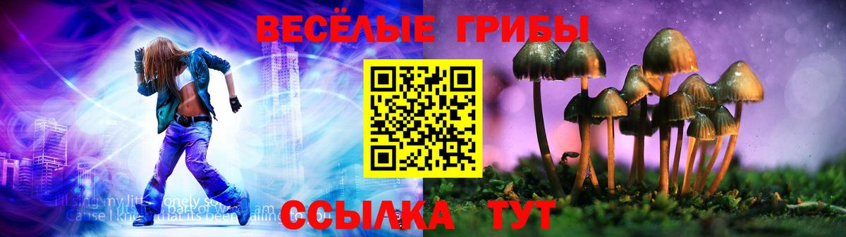 Псилоцибиновые грибы Magic Shrooms  Вход с VPN  Псилоцибиновые грибы прущие грибы  Свободный 